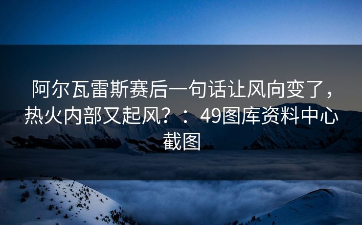 阿尔瓦雷斯赛后一句话让风向变了，热火内部又起风？：49图库资料中心截图  第1张