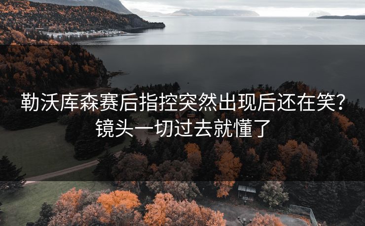 勒沃库森赛后指控突然出现后还在笑？镜头一切过去就懂了